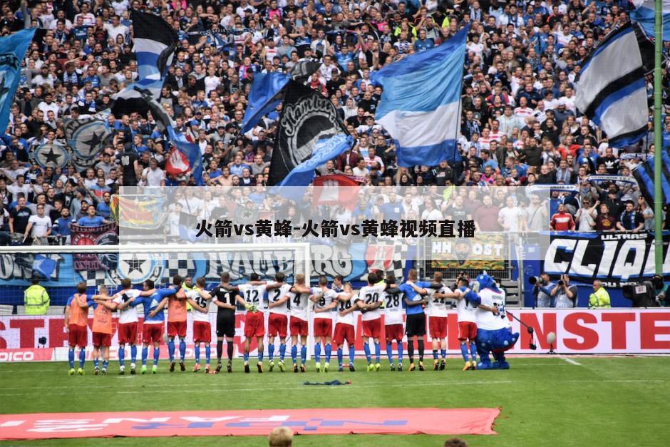 火箭vs黄蜂-火箭vs黄蜂视频直播