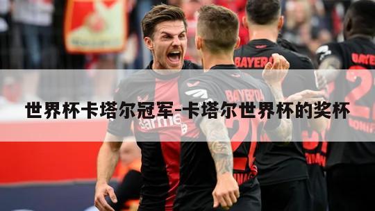 世界杯卡塔尔冠军-卡塔尔世界杯的奖杯