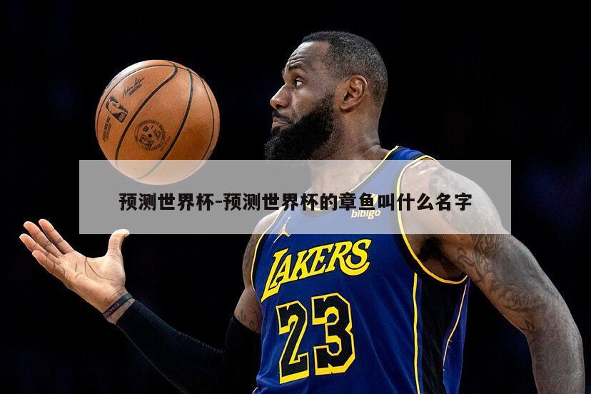 预测世界杯-预测世界杯的章鱼叫什么名字